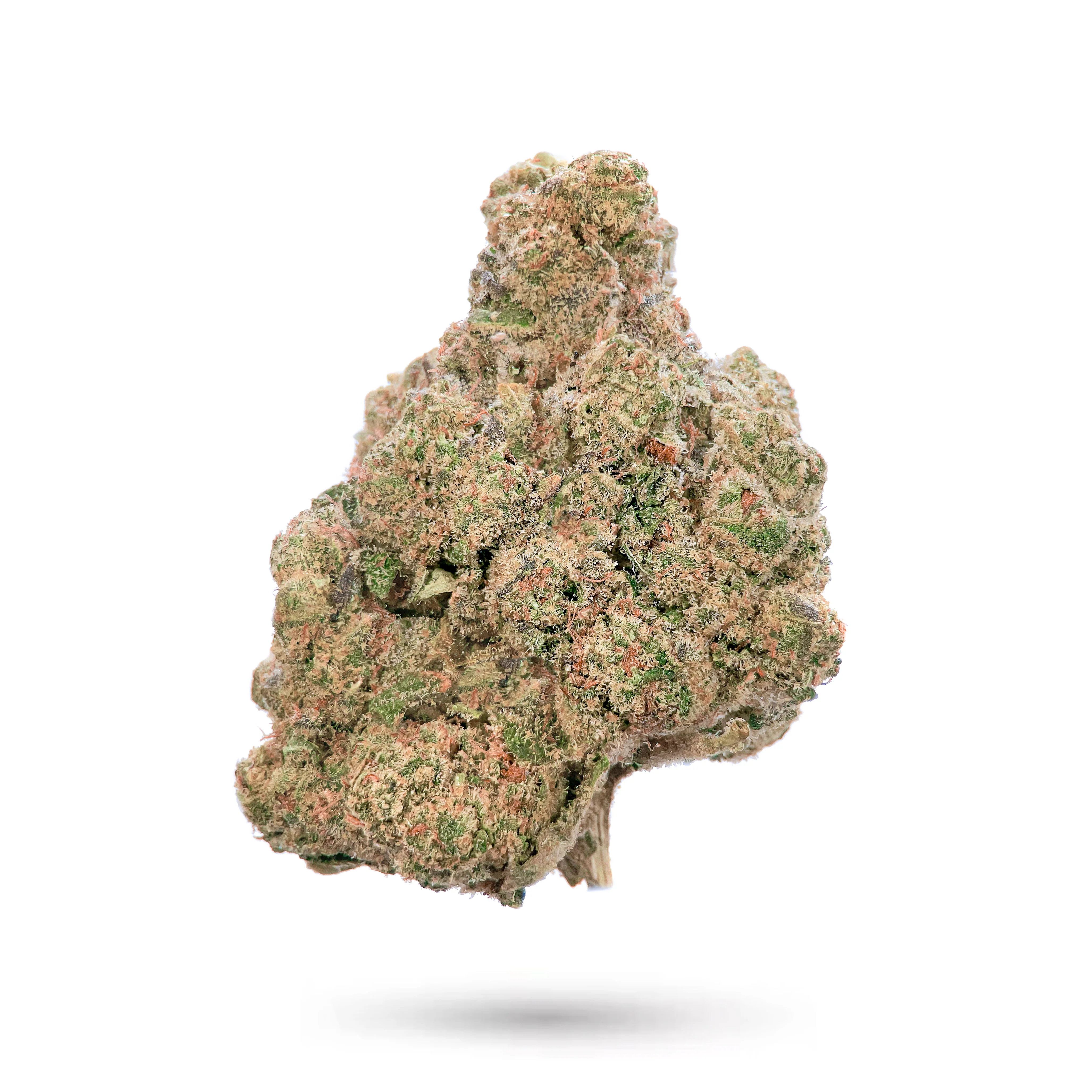 THCA Bigs